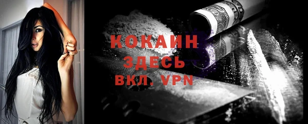индика Медногорск
