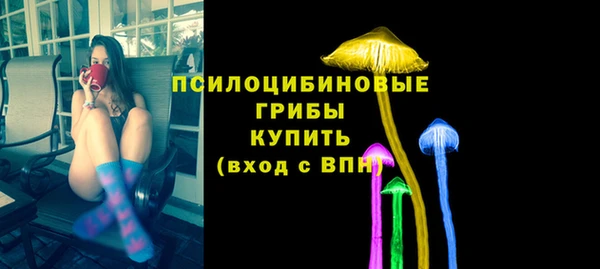 индика Медногорск