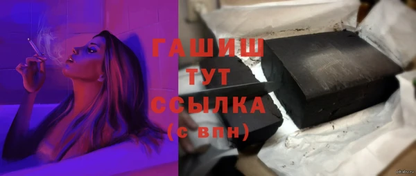 индика Медногорск