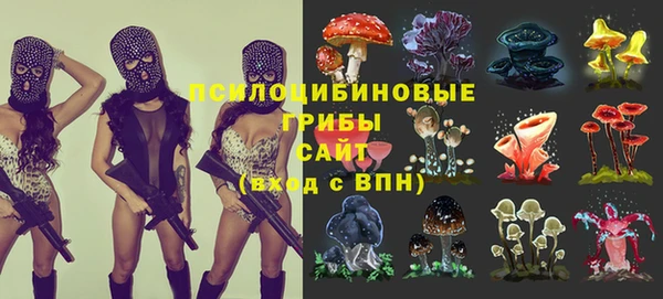 a pvp Мегион