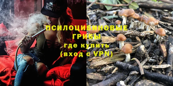 экстази Медвежьегорск
