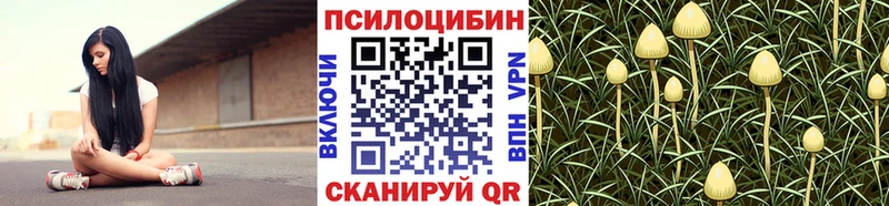 Купить где  Нерехта  Псилоцибиновые грибы прущие грибы 